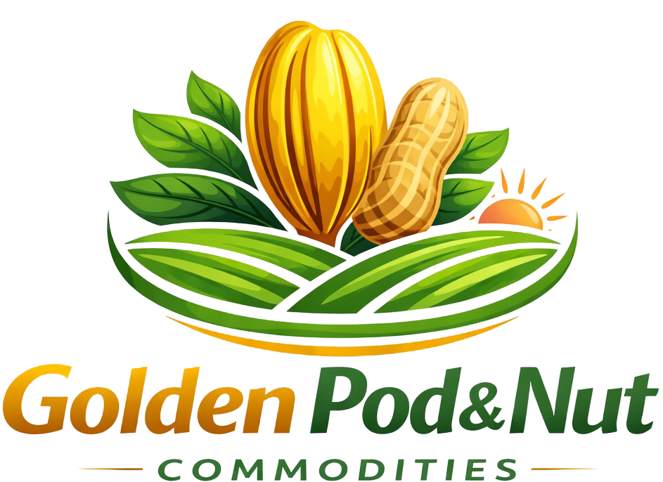 golden pod & nut logo design (1)