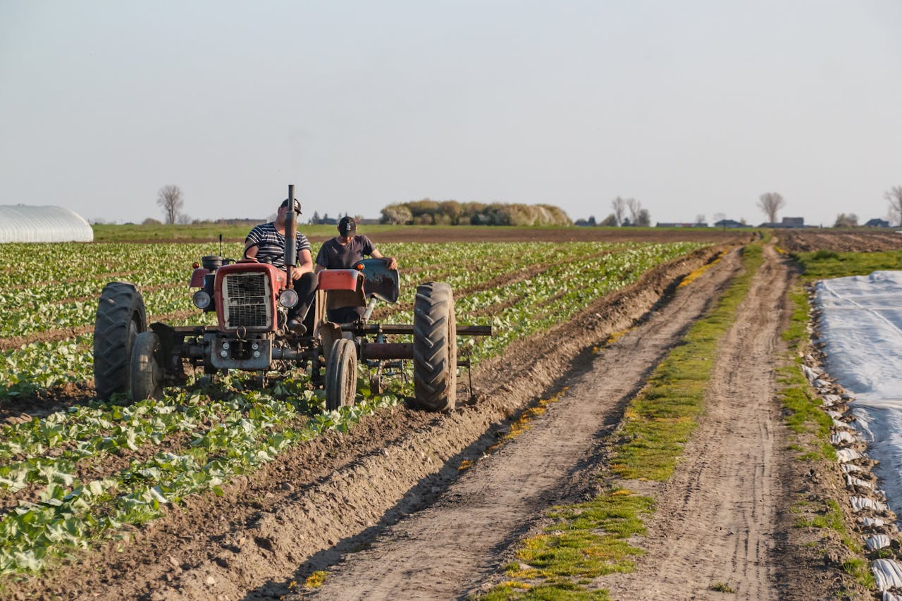 Two farmers driving a tractor through lush cropland during the day, showcasing modern agriculture.